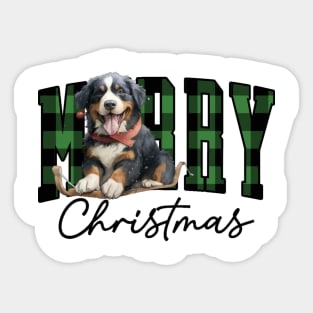 Christmas Bernese mountain dog Sticker